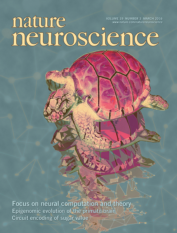 natureneuroscience The BRAIN Initiative