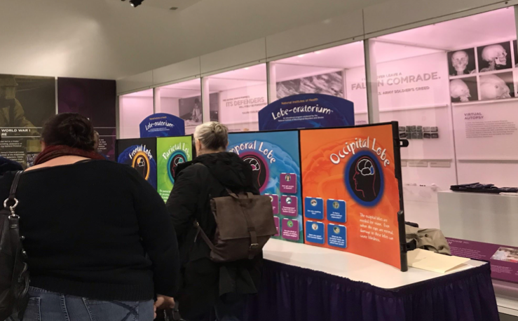 To understand what each brain lobe does for perception, thinking, personality and behavior, attendees could interact with a Brain Lobe-oratorium®.