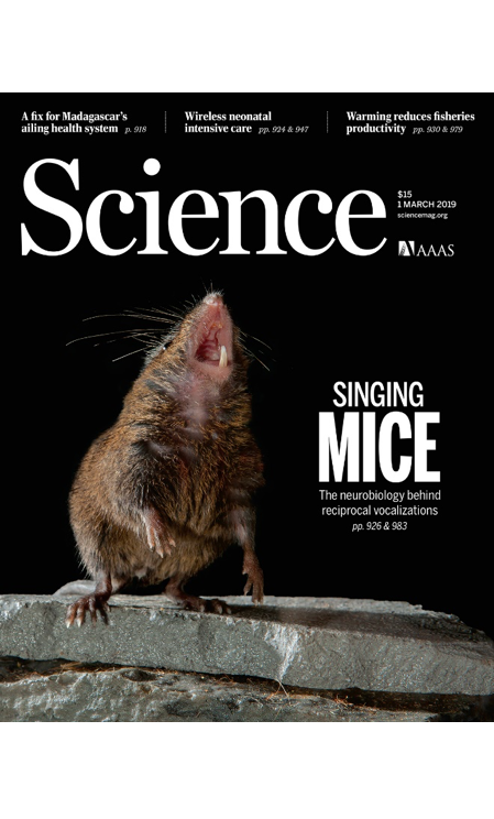 In 2019, we learned that studying the brains of ‘singing mice’ can offer clues in how the human brain manages conversations. In a study supported by the <a href="https://www.simonsfoundation.org/collaborations/global-brain/">Simons Collaboration for the Global Brain</a>, BRAIN Initiative scientist <a href="https://longlab.med.nyu.edu/group/">Dr. Michael Long</a> at the New York University School of Medicine measured brain activity from musical mice while they sang duets, and <a href="https://science.sciencemag.org/content/363/6430/983">discovered a brain region critical for the split-second timing of songs</a>. This fascinating work – which was featured in the <a href="https://www.nytimes.com/2019/02/28/science/mice-singing-language-brain.html">New York Times</a> and <a href="https://www.popsci.com/singing-mice-brains-speech/">Popular Science</a>, and even made the cover of <a href="https://www.sciencemag.org/news/2019/02/singing-mouse-s-brain-could-reveal-keys-snappy-conversation">Science Magazine</a> – may lead to therapies for communication disorders, such as autism.