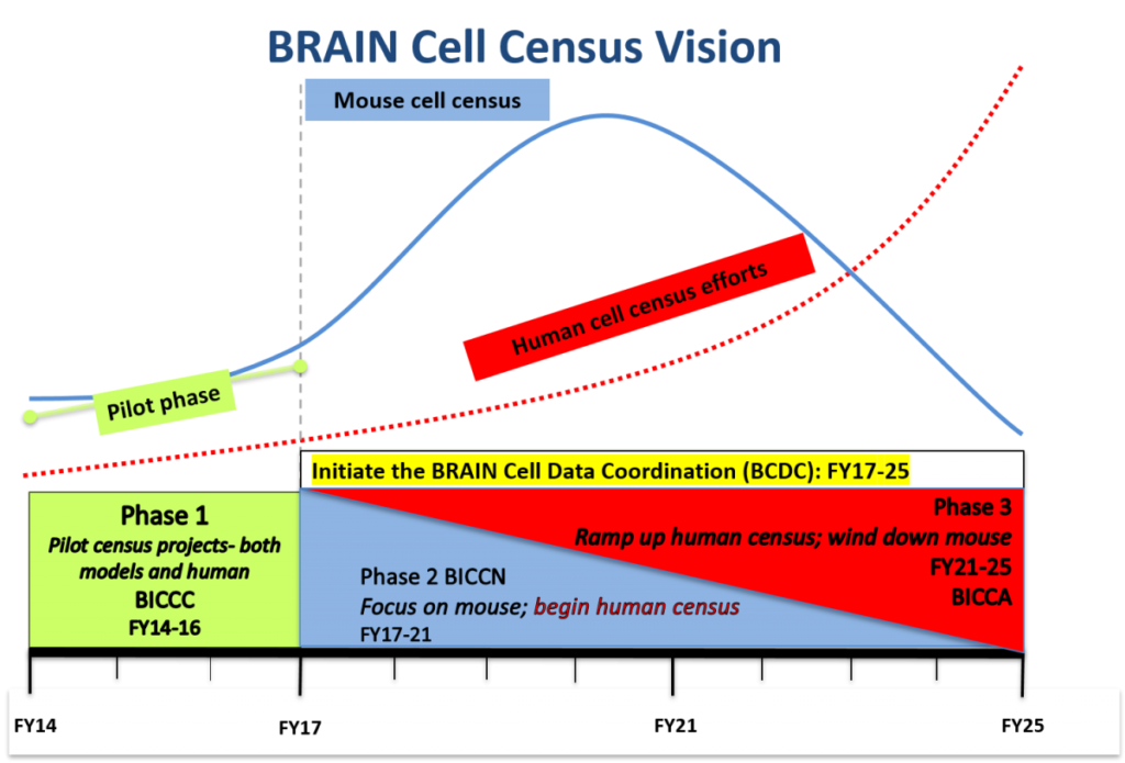 timeline chart for BICCN research efforts