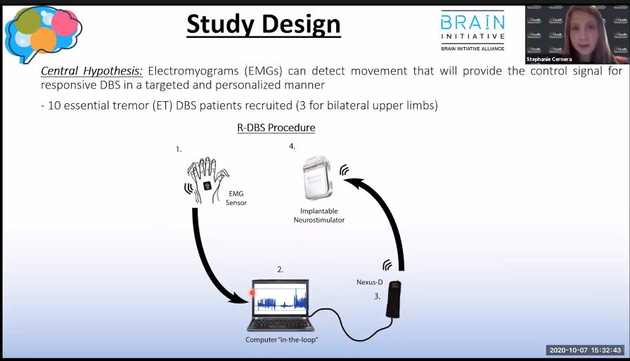 screenshot of virtual presentation