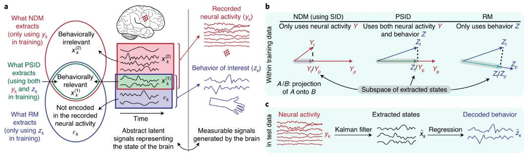 Can researchers isolate and decode brain signal patterns for specific behaviors? In 2020, a team of NIH- and NSF-funded BRAIN researchers sought to answer this very question. These BRAIN researchers developed a machine-learning algorithm called preferential subspace identification (PSID) that resolves several of the problems associated with isolating neural patterns related to specific behaviors. Dr. Maryam Shanechi told USC Viterbi News, “We have developed an algorithm that, for the first time, can dissociate the dynamic patterns in brain signals that relate to specific behaviors one is interested in.” Algorithms such as this have the potential to help researchers develop enhanced brain-machine interfaces to restore lost brain function in those with neurological and mental disorders.