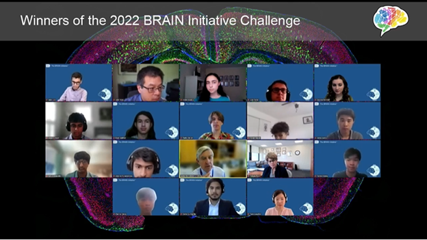 screenshot of virtual session at BRAIN Meeting