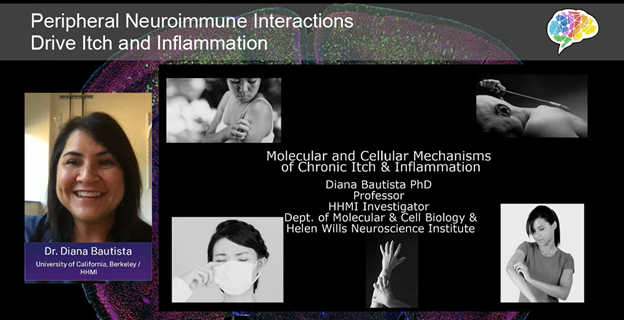 screen shot of virtual presentation from Dr. Diana Bautista