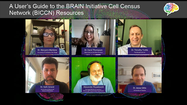 screenshot of virtual symposium session including 6 researchers