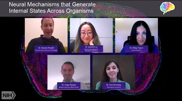 screenshot of virtual symposia session featuring 5 researchers
