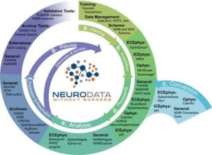 green and blue circular pathway graphic