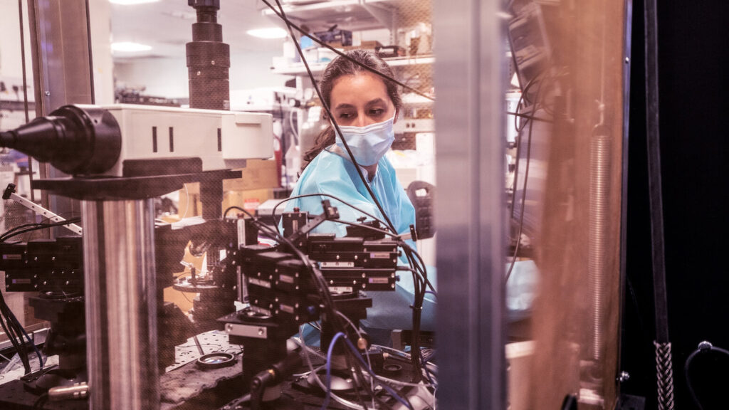 Meet the machines that are helping us understand the brain The BRAIN