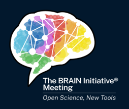 The rainbow brain though cloud graphic element representing the 9th Annual BRAIN Initiative Meeting.