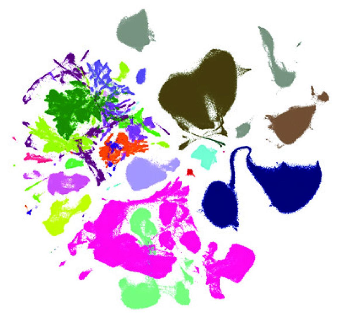 Picture of multi-colored, "splotchy" graph used to visualize different cell types which analyzed in a study of aging on the mouse brain